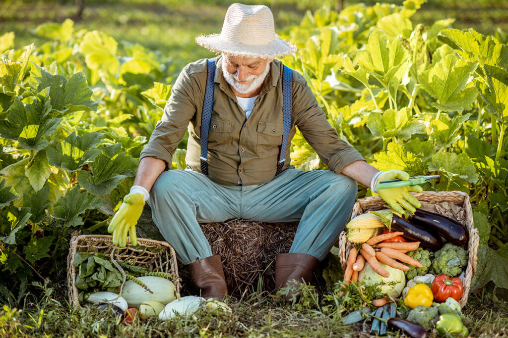 Fresh Fruits & Vegetables In Our New Markets